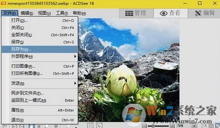 win10怎樣將webp轉換為jpg格式圖片?