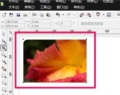 cdr裁剪工具怎么用?cdr軟件中裁剪工具使用方法