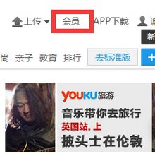優酷激活碼怎么用?教你使用使用激活碼激活優酷賬號開通會員