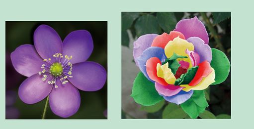 Photoshop橫排文字蒙版工具怎么用?ps橫排文字蒙版工具用法