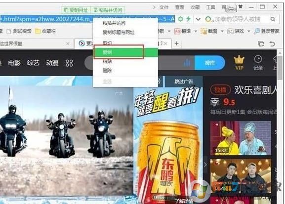 視頻下載王Apowersoft v6.4.6中文破解版(網頁視頻下載工具)