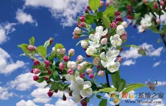 ps色彩范圍怎么用？教你PS使用色彩范圍來(lái)?yè)笀D的方法