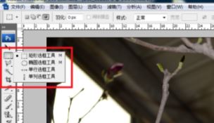 ps局部放大怎么調(diào)？PS放大局部位置的操作方法（含快捷鍵）