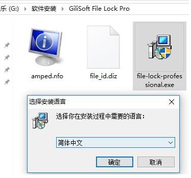 數據加密 GiliSoft File Lock Pro v11.3.0漢化破解版