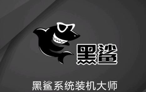 黑鯊裝機大師下載_黑鯊一鍵裝機軟件官方最新版