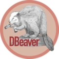 dbeaver下載_DBeaver數(shù)據(jù)庫(kù)軟件中文版