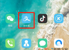 支付寶怎樣隱藏螞蟻莊園？支付寶隱藏螞蟻莊園設置方法