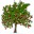 WinDirStat下載_WinDirStat(磁盤容量統計)綠色便攜版