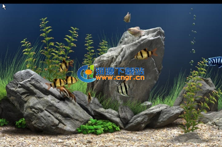夢幻水族館破解版|夢幻水族館動態(tài)屏保 1.240增強(qiáng)漢化安裝版