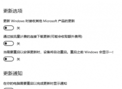 Win10強制更新20h2怎么關閉?Windows10強制更新20H2的解決方法