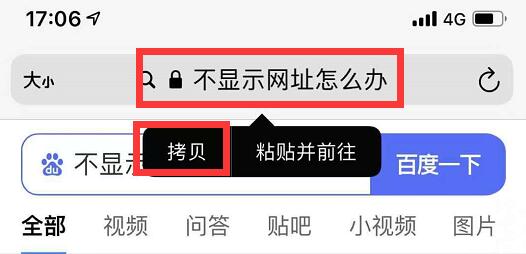蘋果手機/iPad無法復制瀏覽器網(wǎng)址的解決方法