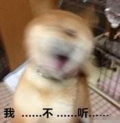 我不聽(tīng)我不聽(tīng)微信QQ表情包