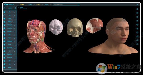 醫維度3D人體解剖軟件