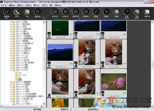 dpp下載_dpp3.9免費下載