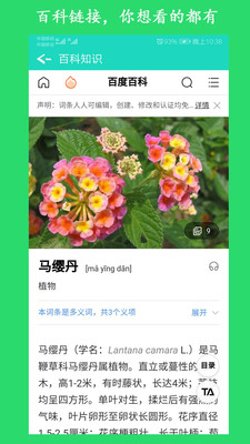 看圖識花 
