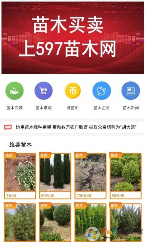597苗木網