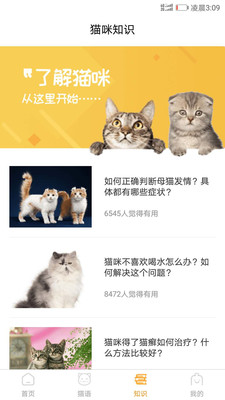貓咪翻譯器APP