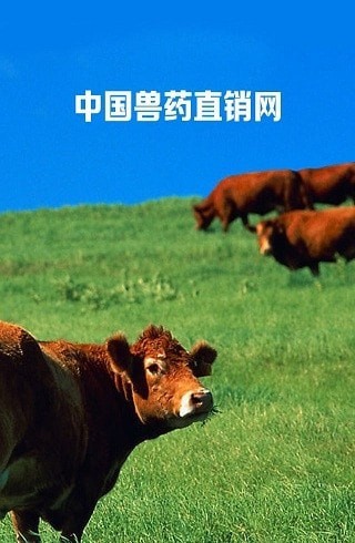 獸藥直銷網