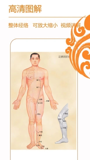 經絡養生(人體穴位大全)