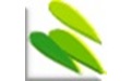 Gidot TypeSetter報紙排版軟件