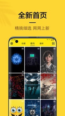橙子4D動態壁紙