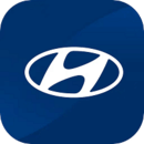 北京現代bluemembers