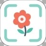 識花草APP