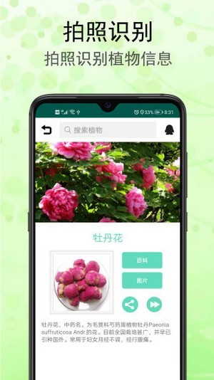 識花草