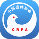 中國信鴿協會
