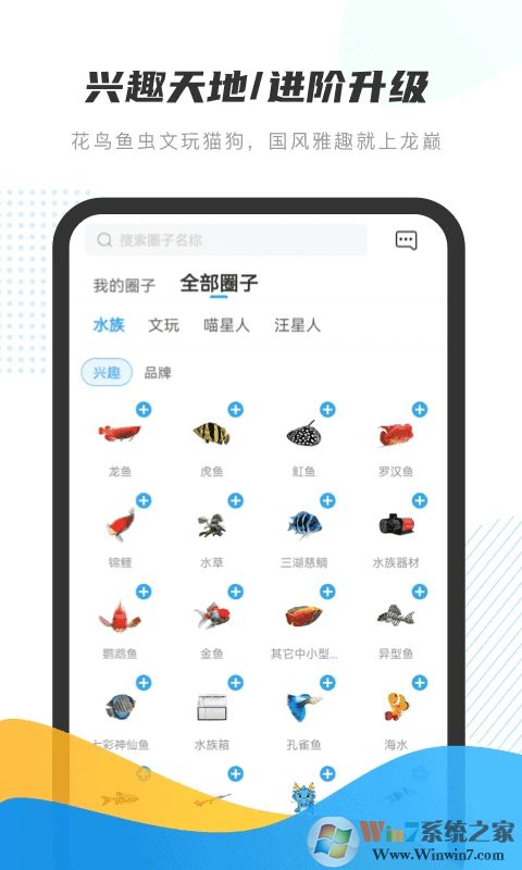 龍巔交易平臺