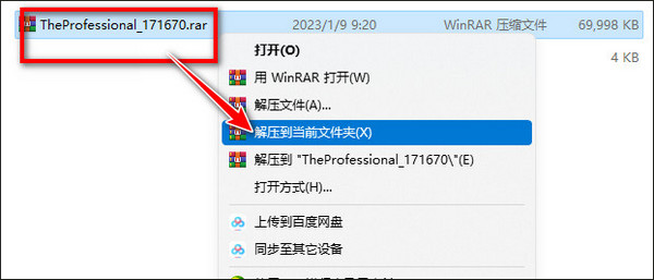 專業人士游戲中文版下載安裝運行
