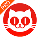 貓眼專業版APP