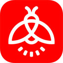 火螢動態壁紙手機版