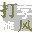 打字旋風