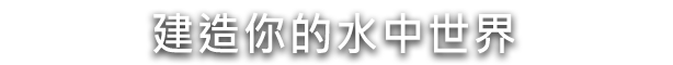 水之城有什么特色內容