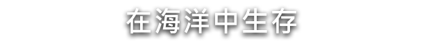 水之城有什么特色內容