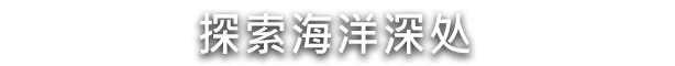 水之城有什么特色內容