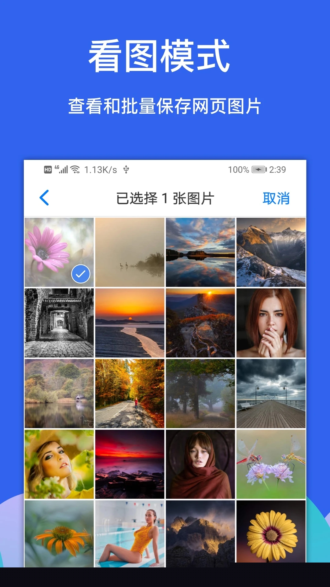 Alook瀏覽器下載安裝