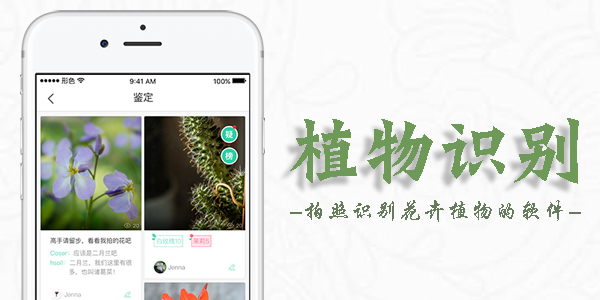 手機(jī)植物識(shí)別軟件大全_免費(fèi)植物識(shí)別APP_植物識(shí)別掃一掃APP