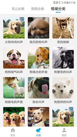 動物翻譯器