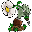 植物大戰僵尸lz重制版最新版