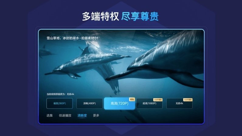 百度網盤電視版