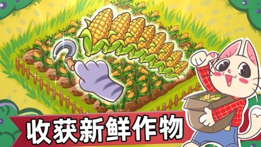 喵斯貓島農場