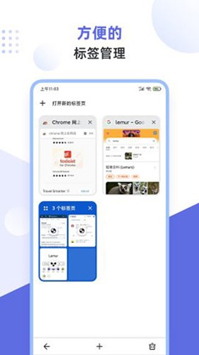 狐猴瀏覽器安卓官網(wǎng)版
