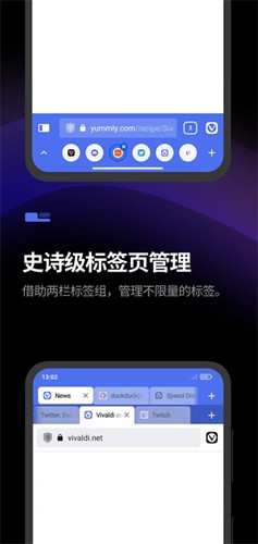 Vivaldi瀏覽器app官網(wǎng)版