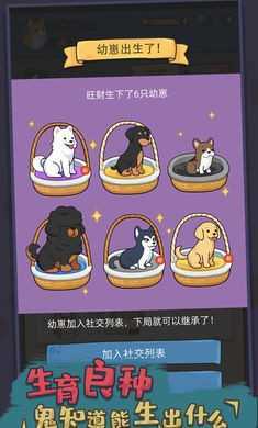 狗生模擬器內置MOD菜單