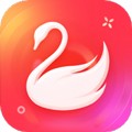 天鵝到家家政服務