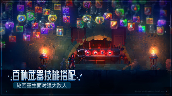 重生細(xì)胞完整版