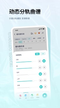 恩雅音樂2024最新版