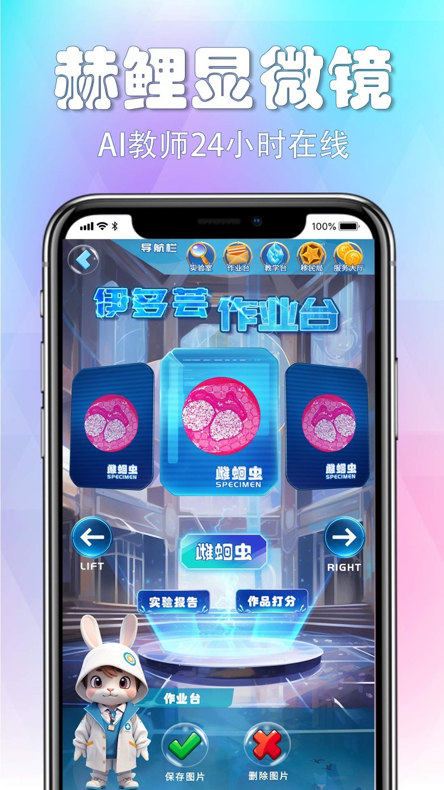赫鯉官網正式版
